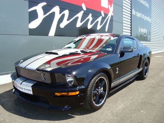 Mustang Shelby GT 325