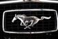 Mustang Fastback 289 Ci